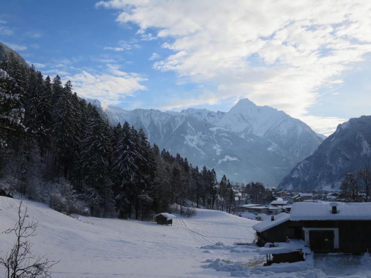 Apartment Hanser By Interhome Ramsau im Zillertal Dış mekan fotoğraf
